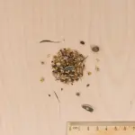 Mélanges de fleurs - Fleurs pour la Cuisine en Mélange - BIO - MEDIA_3D